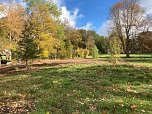 Aufr&auml;umarbeiten mit schwerem Ger&auml;t im Park Hohenrode (Foto: Jochen Einenckel)