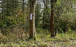 In Scharen in die Natur (Foto: Karl-Heinz Herrmann)