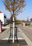 Barrierefreiheit in Sondershausen fehlt immer noch an vielen Stellen (Foto: Thomas Leipold)