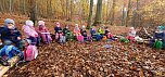 Kleine Spatzen erleben den Wald (Foto: Jennifer Kolditz)