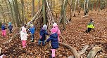 Kleine Spatzen erleben den Wald (Foto: Jennifer Kolditz)