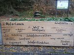 Besuch im Alternativen B&auml;renpark in Worbis (Foto: Thomas Leipold)