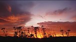 Sonnenaufgang bei Neustadt (Foto: C.Burkert)