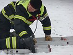 Gebadet und gerettet (Foto: nnz)