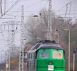 Ludmilla  (Foto: Ulrich Reinboth)