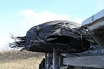 Reifenplatzer führt zu Unfall (Foto: S. Dietzel) Reifenplatzer führt zu Unfall (Foto: S. Dietzel)