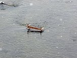 Beobachtungsposten f&uuml;r Enten? (Foto: Karl-Heinz Herrmann)