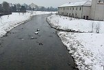 Beobachtungsposten f&uuml;r Enten? (Foto: Karl-Heinz Herrmann)