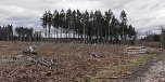 Unterwegs im Harz (Foto: Ulrich Reinboth, Kelbra)