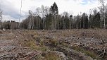 Unterwegs im Harz (Foto: Ulrich Reinboth, Kelbra)