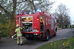 K&uuml;chenbrand in Sondershausen (Foto: Silvio Dietzel)