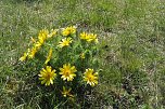 Unterwegs am Stausee Kelbra (Foto: Familie Friedling)