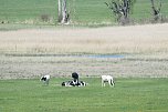 Unterwegs am Stausee Kelbra (Foto: Familie Friedling)