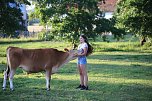 Eine ungewöhnliche Freundschaft (Foto: S.Dietzel) Eine ungewöhnliche Freundschaft (Foto: S.Dietzel)