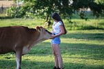 Eine ungewöhnliche Freundschaft (Foto: S.Dietzel) Eine ungewöhnliche Freundschaft (Foto: S.Dietzel)