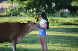 Eine ungewöhnliche Freundschaft (Foto: S.Dietzel) Eine ungewöhnliche Freundschaft (Foto: S.Dietzel)