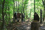 Naturmythenpfad im Nationalpark Harz (Foto: Thomas Schwerdt, Sandra Meckbach-Wolter )