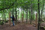 Naturmythenpfad im Nationalpark Harz (Foto: Thomas Schwerdt, Sandra Meckbach-Wolter )