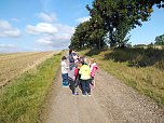 Neue Vogelh&auml;uschen in Urbach (Foto: K.Seifert)