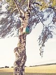 Neue Vogelh&auml;uschen in Urbach (Foto: K.Seifert)