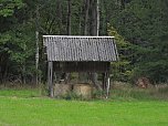 Ungew&ouml;hnliche An- und Aussichten bei Herrmannsacker (Foto: P.Blei)