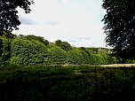 Ungew&ouml;hnliche An- und Aussichten bei Herrmannsacker (Foto: P.Blei)