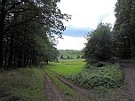 Ungew&ouml;hnliche An- und Aussichten bei Herrmannsacker (Foto: P.Blei)