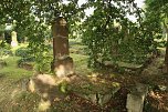 Gr&auml;ber die Geschichten erz&auml;hlen - Eindr&uuml;cke vom j&uuml;dischen Friedhof in Nordhausen (Foto: agl)
