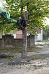 An der Bleiche hat man damit begonnen 13 Bäume zu fällen (Foto: Michael Garke) An der Bleiche hat man damit begonnen 13 Bäume zu fällen (Foto: Michael Garke)