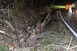 Verkehrsunfall im Kyffh&auml;usrkreis (Foto: S.Dietzel)