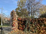 Herbstimpressionen (Foto: Eva Maria Wiegand)