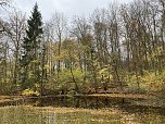 Herbstimpressionen (Foto: Eva Maria Wiegand)