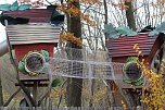 Herbstimpressionen (Foto: Eva Maria Wiegand)