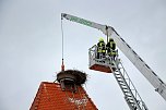 Bauarbeiten am Ringelebener Storchennest (Foto: Henri Fensterer)