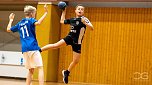 NSV Handball (Foto: NSV)