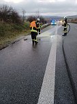 Auto auf der A38 brannte (Foto: Feuerwehr Breitenworbis/SD) Auto auf der A38 brannte (Foto: Feuerwehr Breitenworbis/SD)