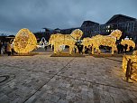 Weihnachtliches Magdeburg (Foto: Peter Blei)