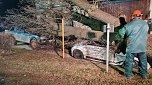 Morscher Baum begrub zwei Fahrzeuge unter sich (Foto: S. Dietzel)