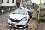 Morscher Baum begrub zwei Fahrzeuge unter sich (Foto: S. Dietzel)