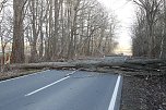 Sturmsch&auml;den auf der Landstra&szlig;e (Foto: S. Dietzel)