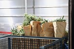 Bei einem Gro&szlig;einsatz in Sondershausen konnte die Polizei eine Cannabis-Plantage ausheben (Foto: S. Dietzel)