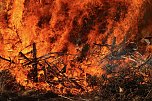 Osterfeuer bei Krimderode (Foto: agl)