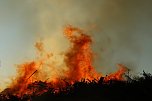 Osterfeuer bei Krimderode (Foto: agl)