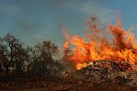 Osterfeuer bei Krimderode (Foto: agl)