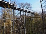 Auf dem Baumkronenpfad (Foto: J&uuml;rgen Friedling)