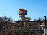Auf dem Baumkronenpfad (Foto: J&uuml;rgen Friedling)