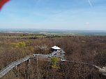 Auf dem Baumkronenpfad (Foto: J&uuml;rgen Friedling)