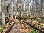 Auf dem Baumkronenpfad (Foto: J&uuml;rgen Friedling)