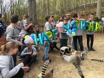 Affengeburtstag und Putzaktion im Affenpark Strau&szlig;berg (Foto: S. Dietzel)