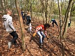 Affengeburtstag und Putzaktion im Affenpark Strau&szlig;berg (Foto: S. Dietzel)